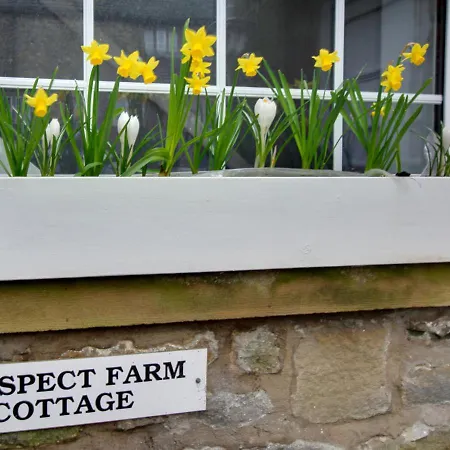 Casa de Férias Prospect Farm