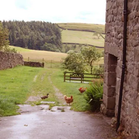 Prospect Farm